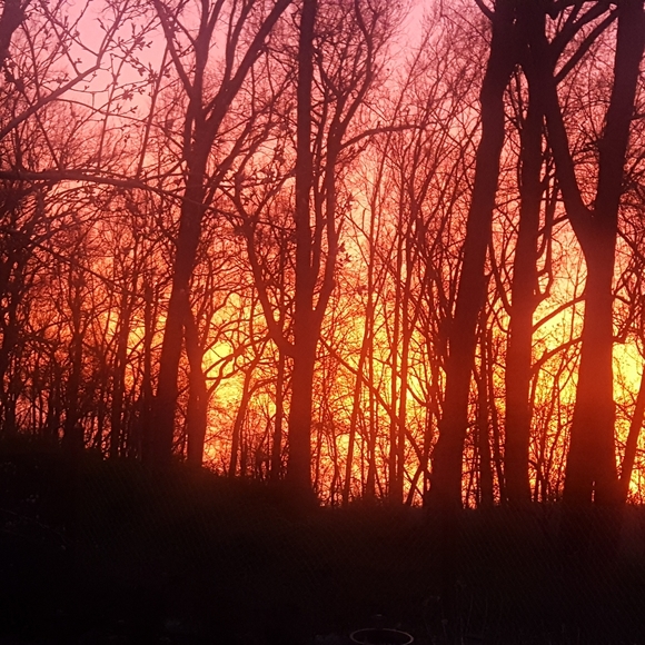 Meet your Posher, Teresa - Picture 15 of 16